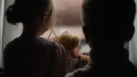Children with soft toy looking out the window of train carriage Stock Footage 314761669