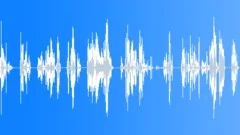 CHILDRENSound Effect