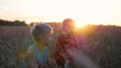 Children stand in a field of wheat. Two children laugh and smile. Walks in the Vidéo 80046492