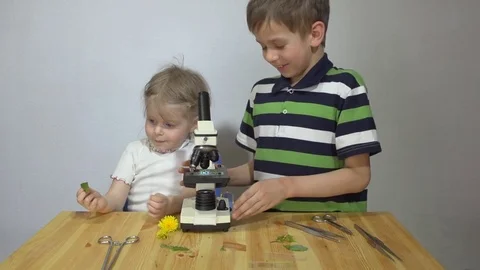 Children study plants under a microscope on a wooden table next to a white wall. Stock Footage 75767238