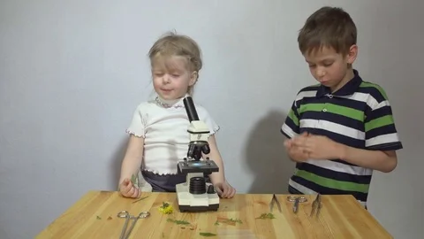 Children study plants under a microscope on a wooden table next to a white wall. Stock Footage 75767447