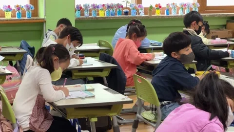Children studying in elementary school classrooms Stock Footage 240015996