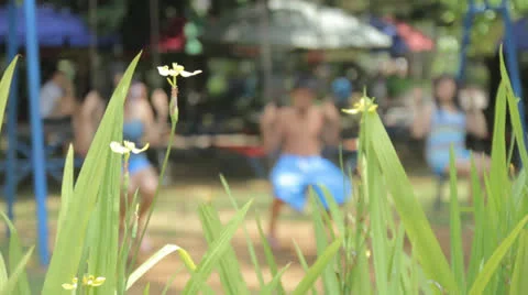 Children On A Swing Stock Footage 22988561