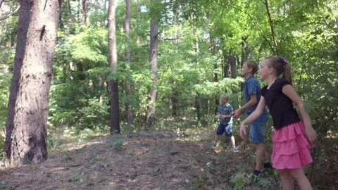 Children throw cones on trees. Video stock 78038062