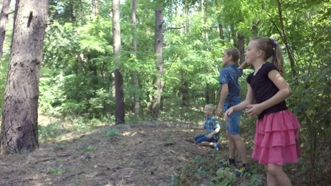 Children throw cones on trees. Stockbeeldmateriaal 78038102