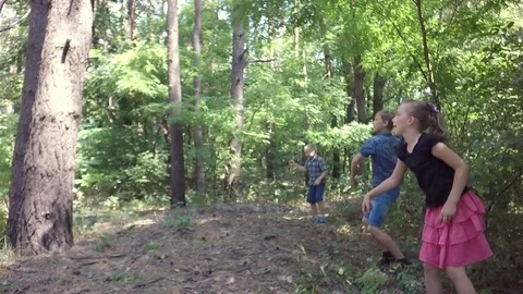 Children throw cones on trees. Slow motion. 스톡 동영상 78038100