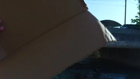 Children throw garbage into the river. Stock Footage 251953411