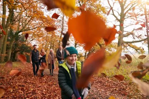 Children Throwing Leaves As Multi-Generation Family Walk Along Autumn Woodland Stock Photos