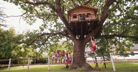 Children in a treehouse with boy climbing up rope ladder Stock Footage