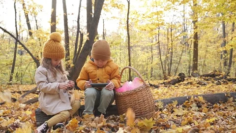 Children use smartphone in forest Video stock 145485793