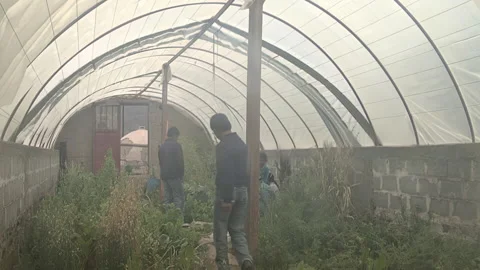 Children at Vegetable Plot in a Rural Public School in Argentina.   Vídeos de archivo 158822751