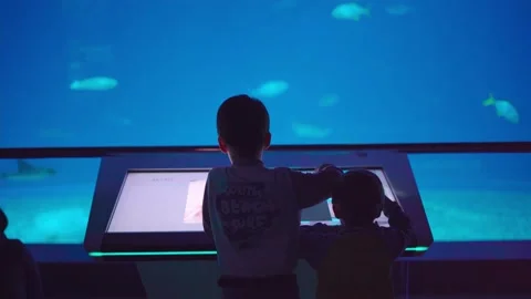 Children view an interactive whiteboard in the aquarium Stock Footage 187840199