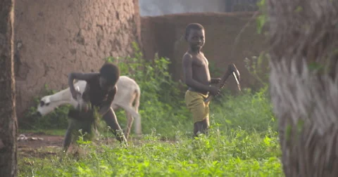 Children in village Stock Footage 68796334
