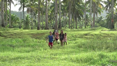 Children walking in a coconut farm Stock Footage 229648341