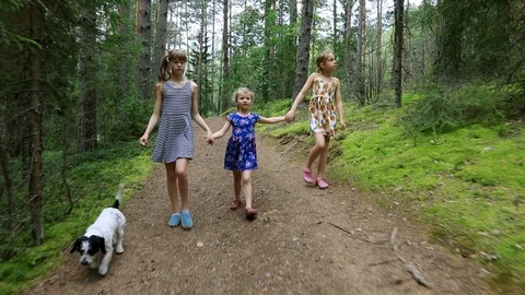 Children walking on footpath in a summer forest Stock Footage 114617334