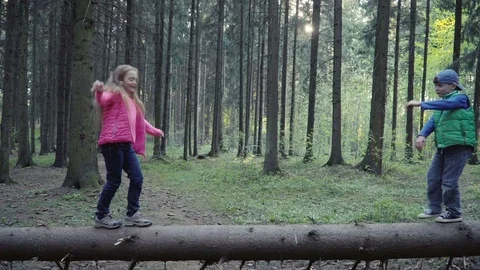 Children is walking on the log in the forest Stock Footage 76681714