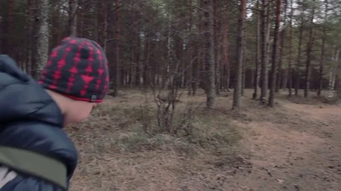 Children walking in pine forest trail with backpacks Stock Footage 76566783