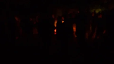 Children watching campfire party Stock Footage 80622667