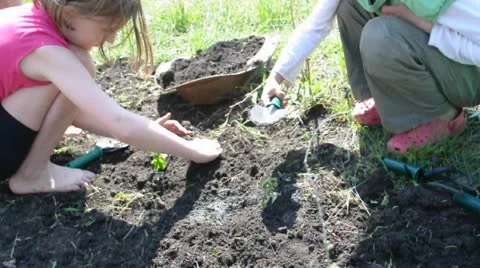 Children watering digging and planting young  plants together Stock Footage