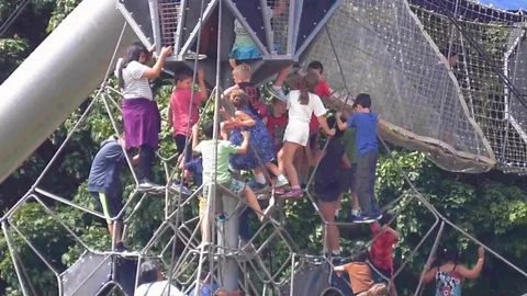 ChildrenClimbingRopeTower Stock Footage 105880423