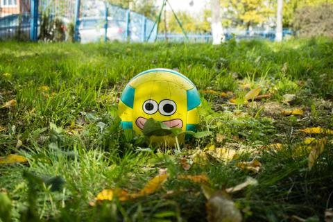 Children's ball on grass Stock Photos