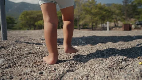 Flat Small Bare Stock Videos – Royalty-Free HD & 4K Videos | Pond5