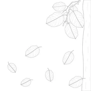Childrens coloring books, Bright vector drawing of falling autumn leaves, fall Stock Illustration