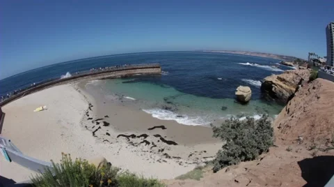 CHILDRENS COVE Stock Footage 5392337