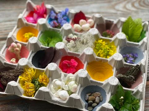 Children's creativity from the processing of the egg carton Foto stock