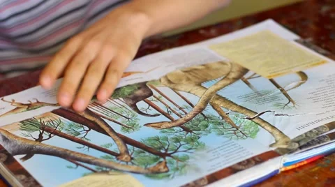 Children's Dinosaur Book Vídeo Stock 60392076