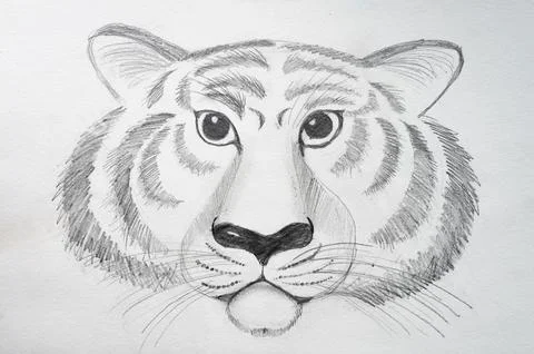 Children's diy graphic drawing with a simple pencil on textured paper - portr Stock Illustration