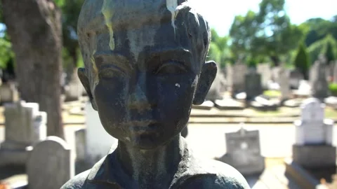 Children's graveyard Stock Footage 156558273