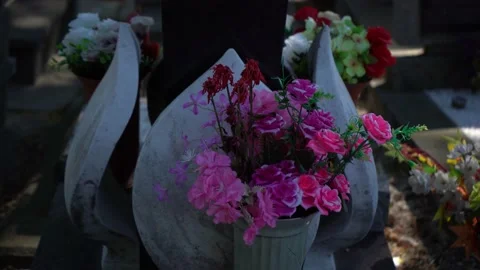 Children's graveyard Stock Footage 156560662
