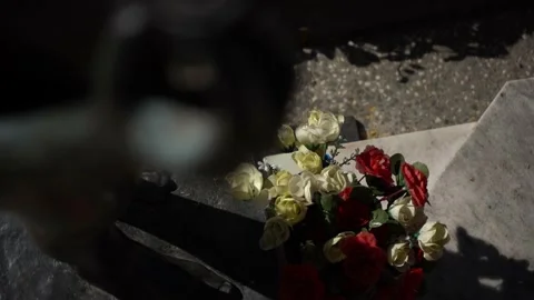 Children's graveyard Stock Footage 156574996