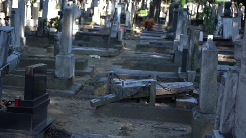 Children's graveyard Stock Footage 156575736