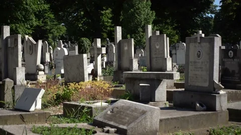 Children's graveyard Stock Footage 156575766