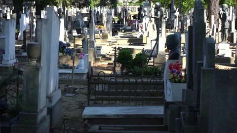 Children's graveyard Stock Footage 156582030