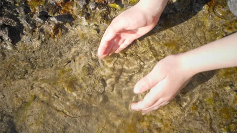 The children's hands are lowered into the clear water located in the stone Stock Footage 263371795
