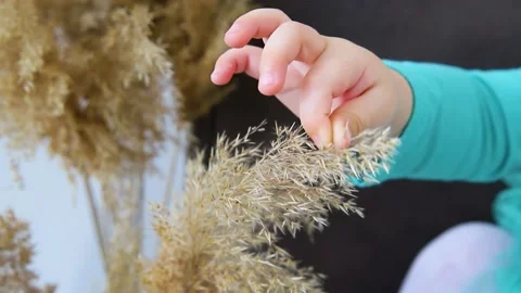Children's hands close-up. Stock Footage 170476548
