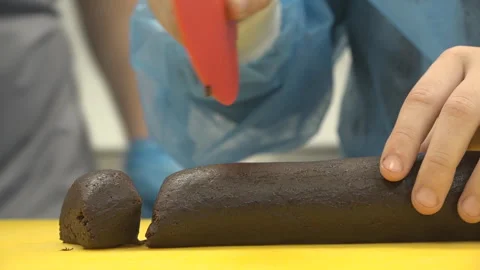 Childrens hands cutting dough for baking Stock Footage 310884634