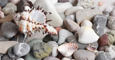 Children's hands fold seashells on pebbles. The girl builds a tower of pebble Stock Footage 165567239