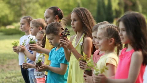 Children's hands holding sapling with plants Video stock 89688786