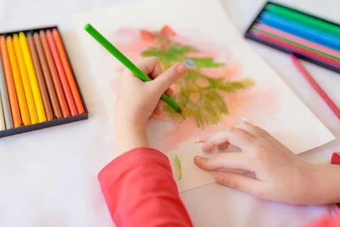Children's hands on a white table drawing Christmas tree with colored pencils Stock Photos