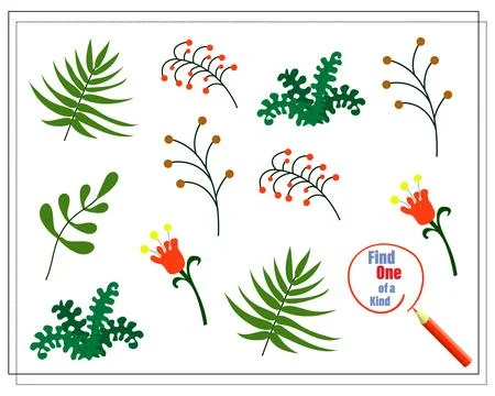 Children's logic game find the one of a kind. Twigs of plants. Vector isolate Stock Illustration