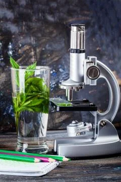 Children's microscope in still life table leaves, plant, foliage, biology Stock Photos