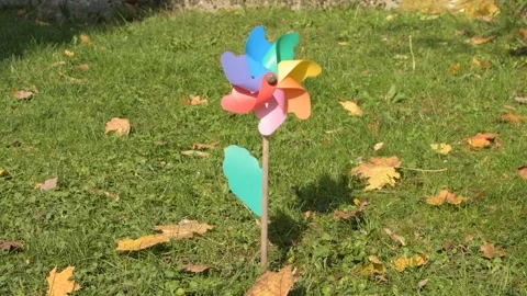 A children's multi-colored windmill is spinning from the breeze on a green lawn, Stock Footage 230425933
