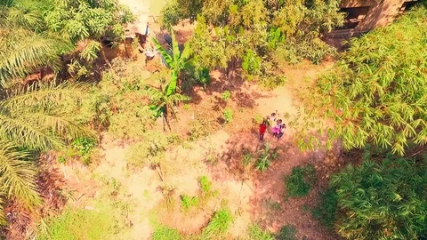 Children's paradise forest near the lake Stock Footage 81062353