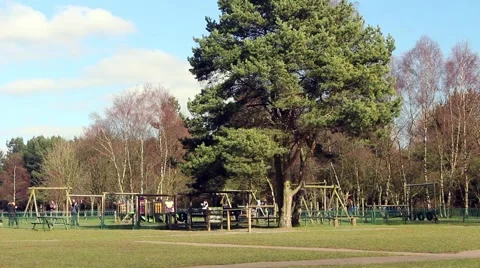 A children’s playground at forest visitor’s centre Stock Footage 61316856