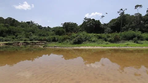  childrens playing around on the amazon waters Stock Footage 201086292