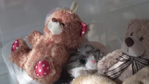 Children's plush animals in a box. Video stock 143025025